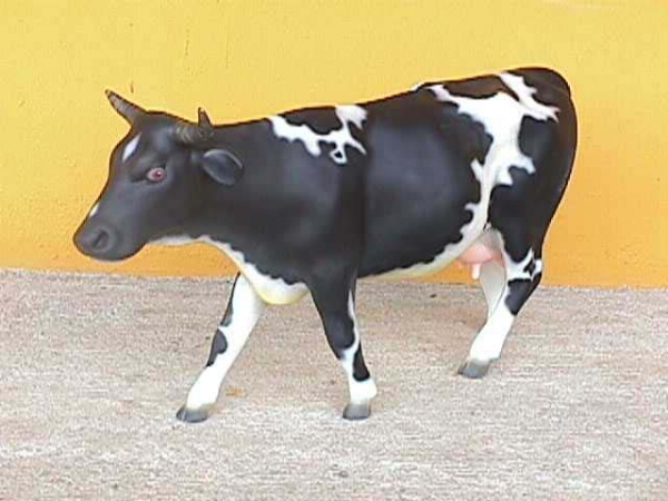 COW (BLACK AND WHITE)