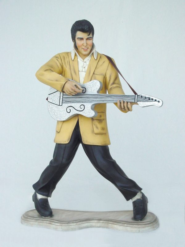 ROCK & ROLL SINGER W/ GUITAR