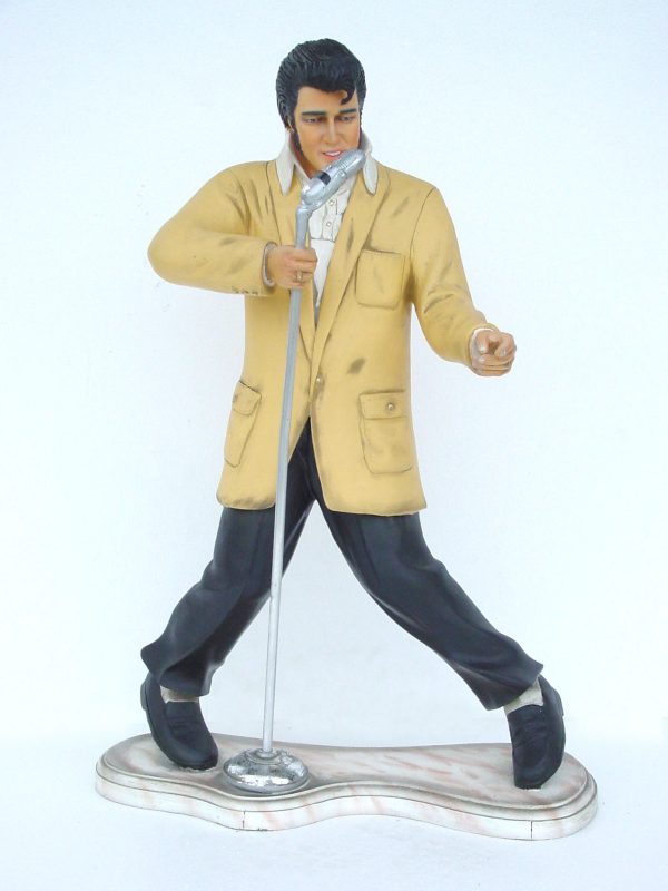 ROCK & ROLL SINGER W/ MICROPHONE