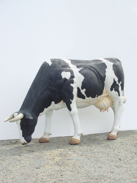 COW HEAD DOWN