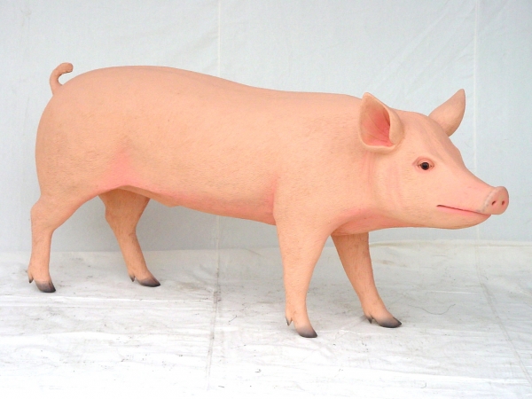 PIG