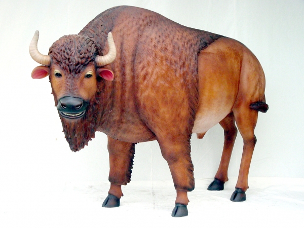 BUFFALO