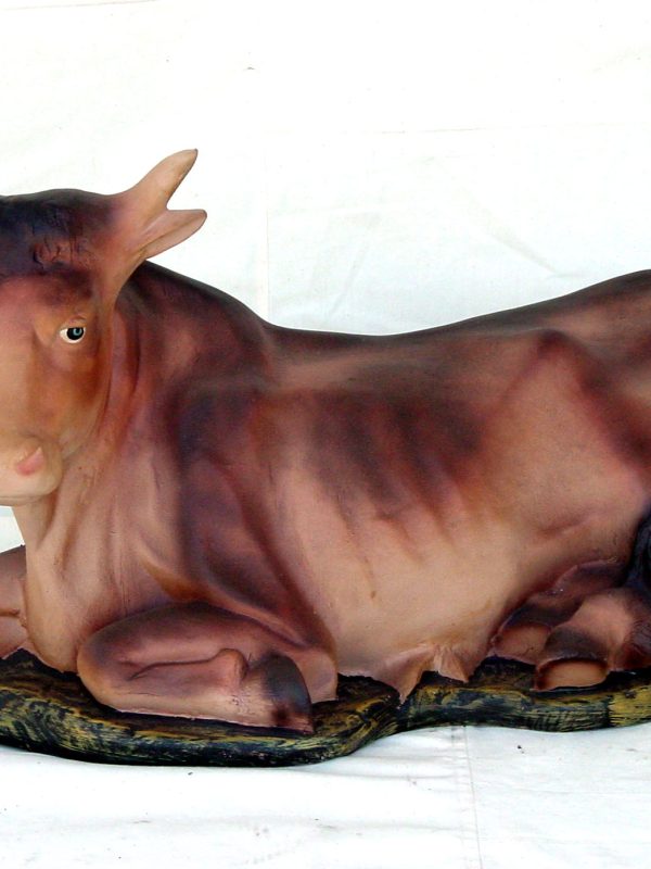 Ox Lying