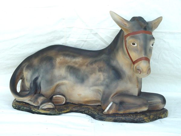 Donkey Lying
