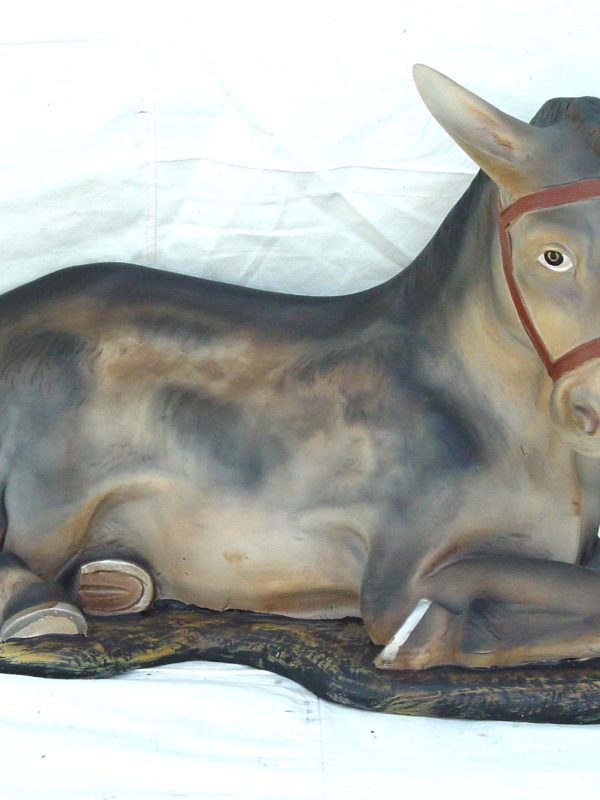 Donkey Lying
