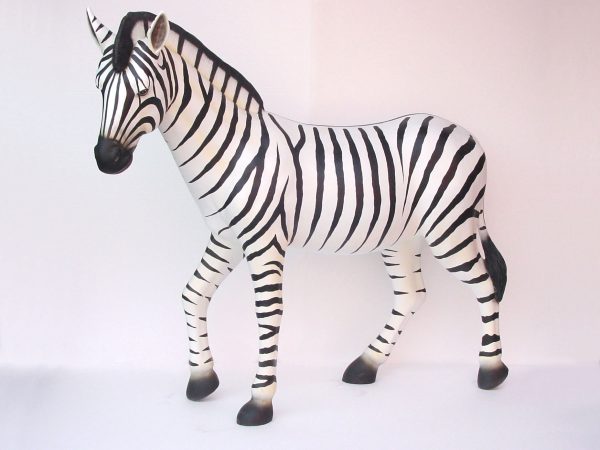 ZEBRA (5.5FT)