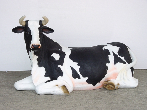 COW LYING