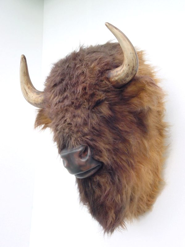 BUFFALO HEAD