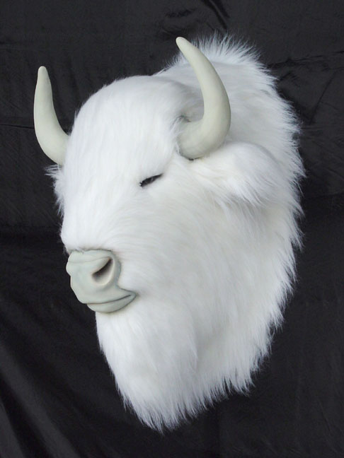 WHITE BUFFALO HEAD