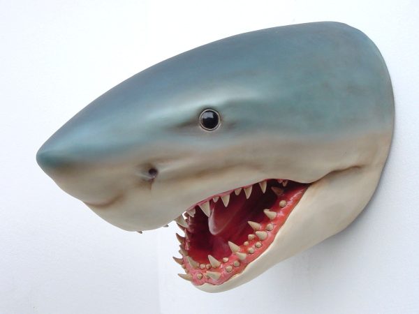SHARK HEAD