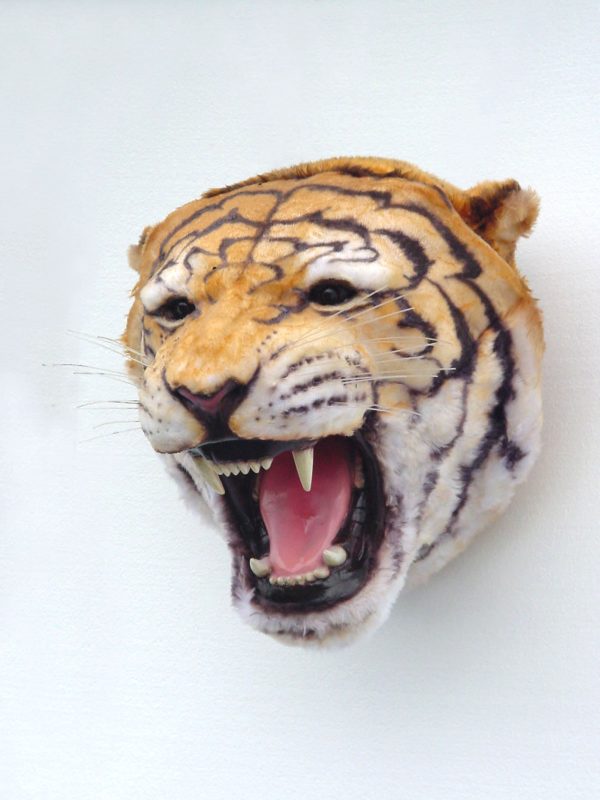 TIGER HEAD