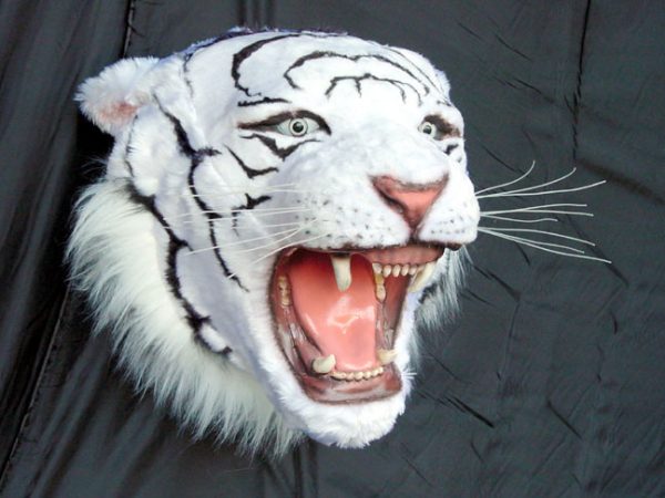 WHITE TIGER HEAD