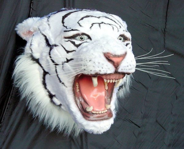 WHITE TIGER HEAD