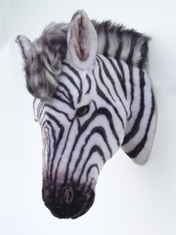 ZEBRA HEAD