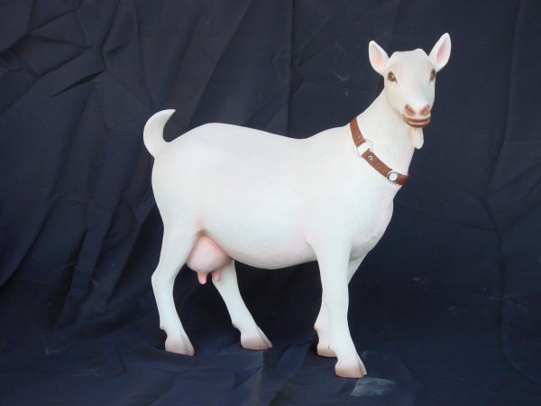 GOAT (Small)