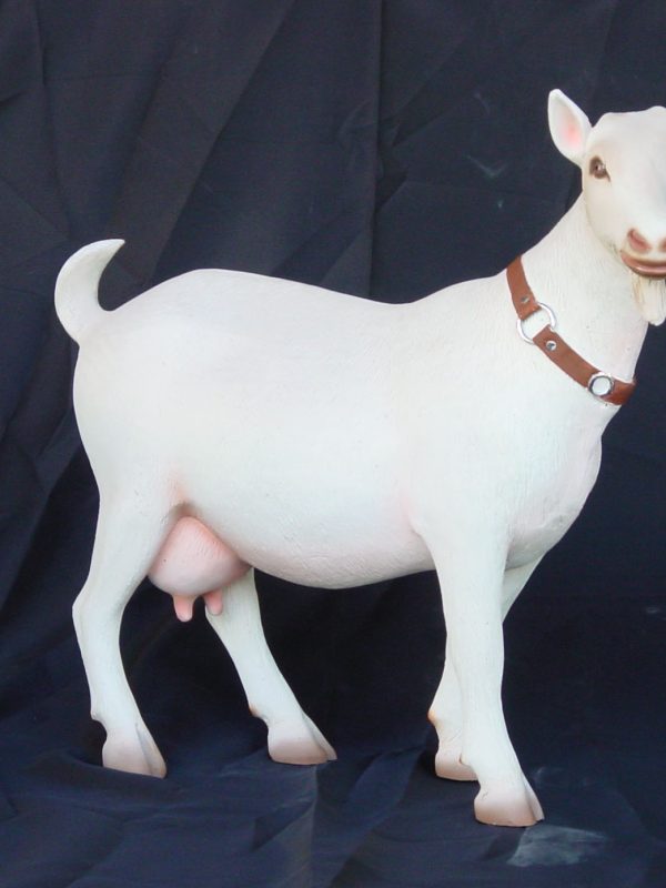 GOAT (Small)