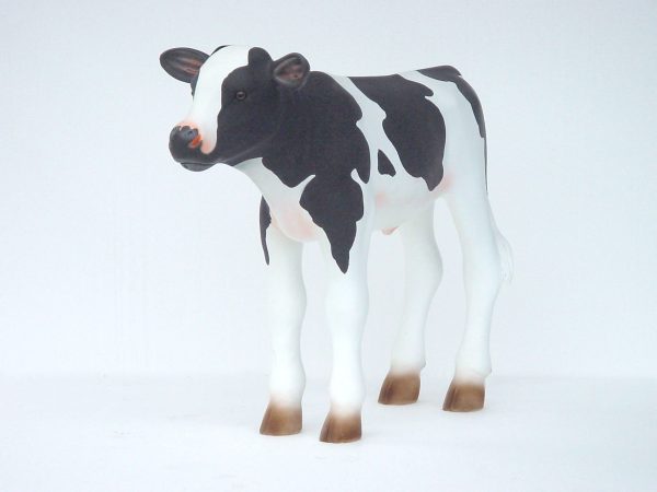 CALF 2 (2.5FT)