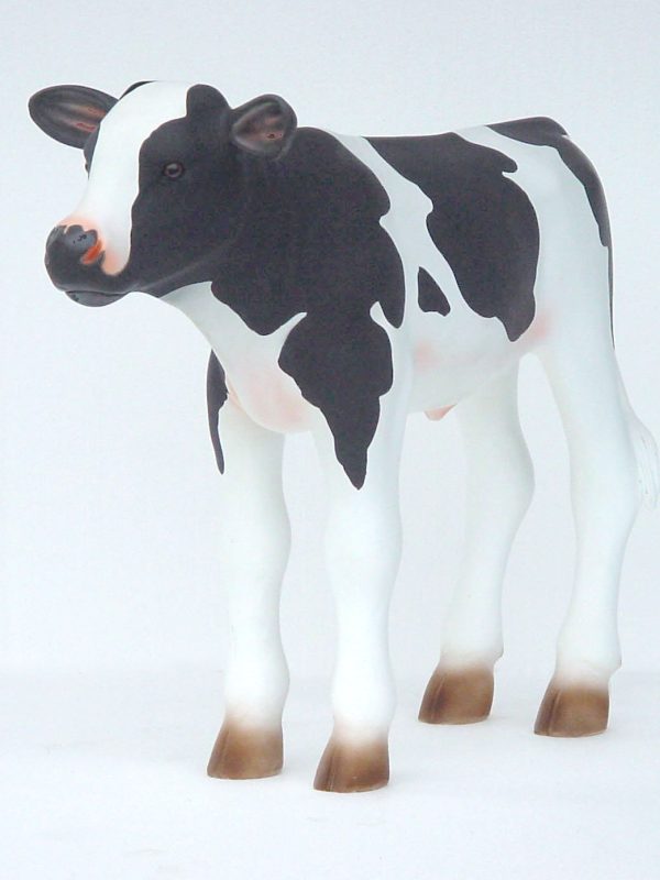 CALF 2 (2.5FT)