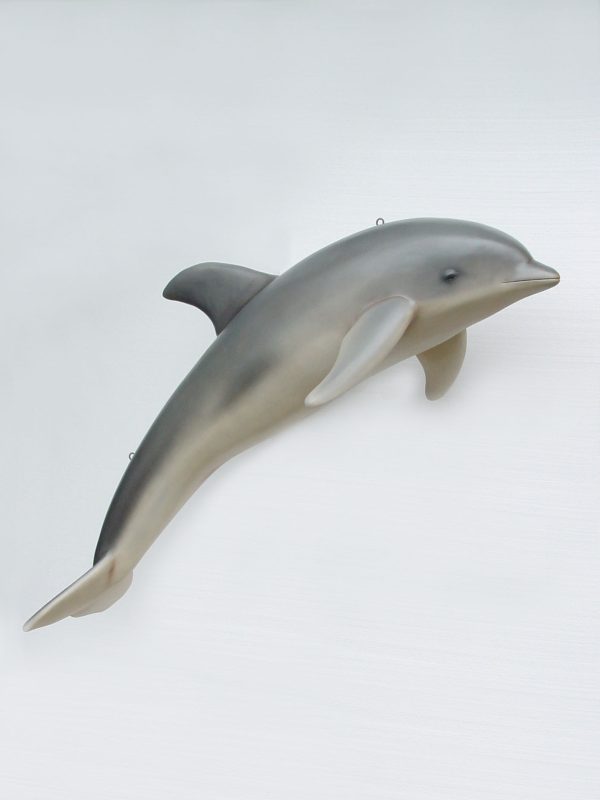 DOLPHIN HANGING