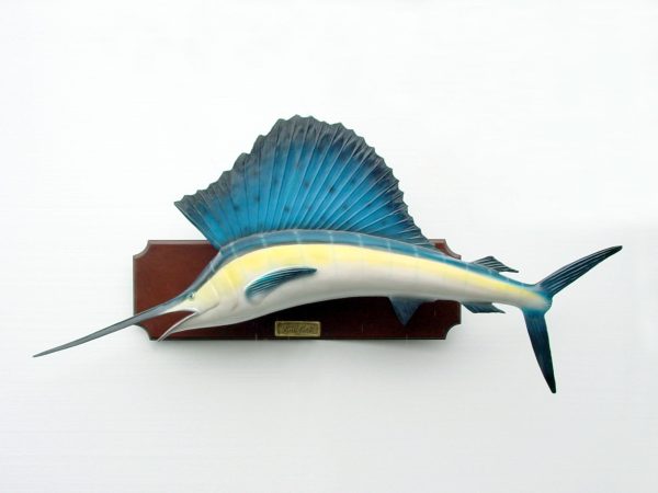 SAIL FISH