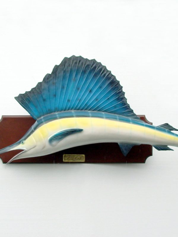 SAIL FISH