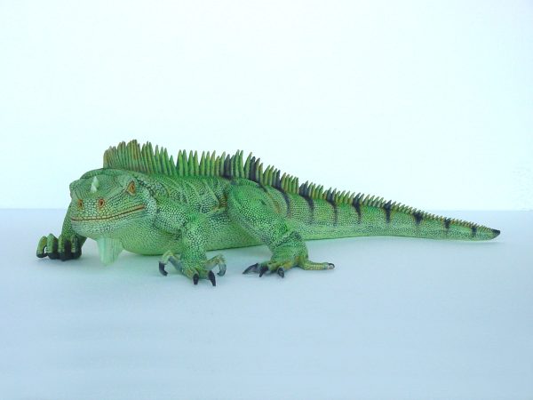 IGUANA (Big)