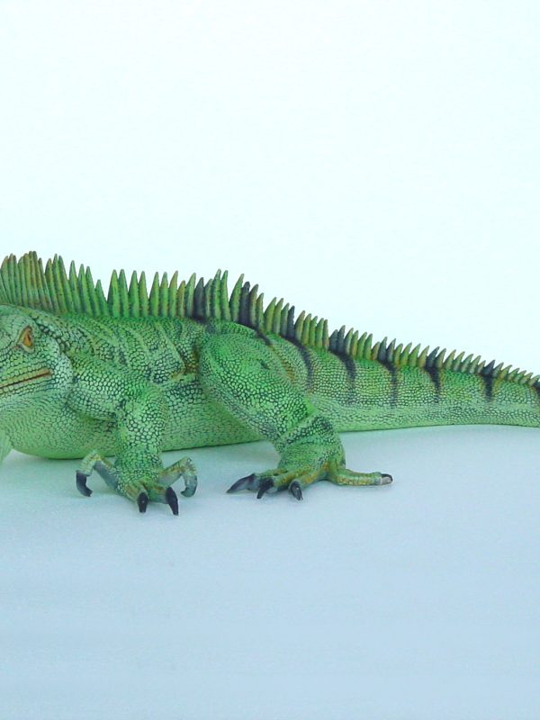 IGUANA (Big)