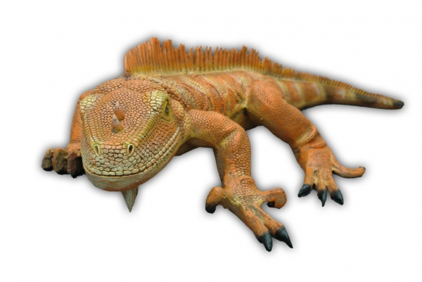 IGUANA NEW COLOR (Big)