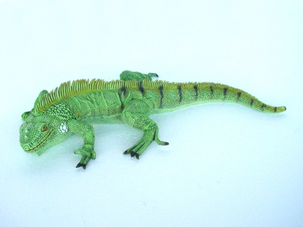 IGUANA (Small)