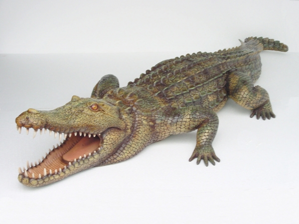 CROCODILE