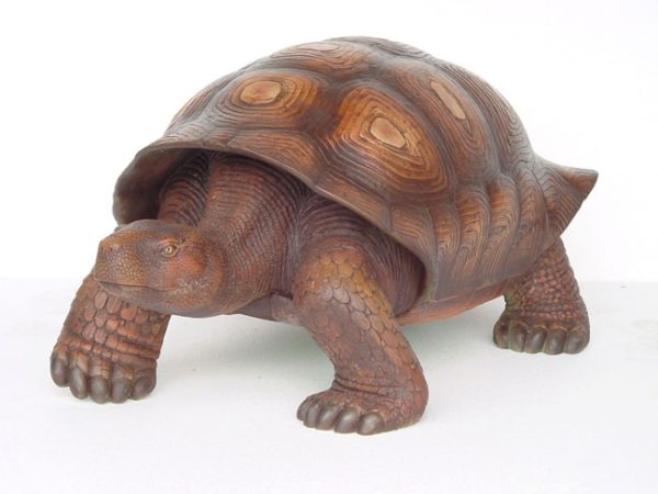 TURTLE