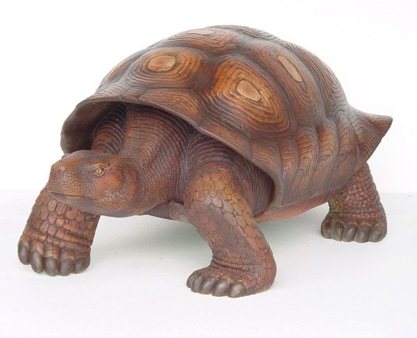 TURTLE
