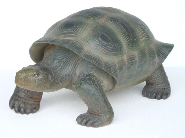 TURTLE (REALISTIC COLOR)
