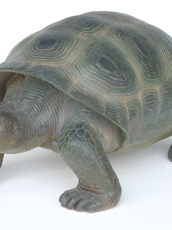 TURTLE (REALISTIC COLOR)