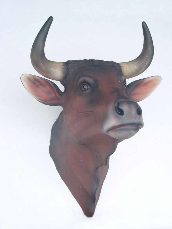 BULL HEAD