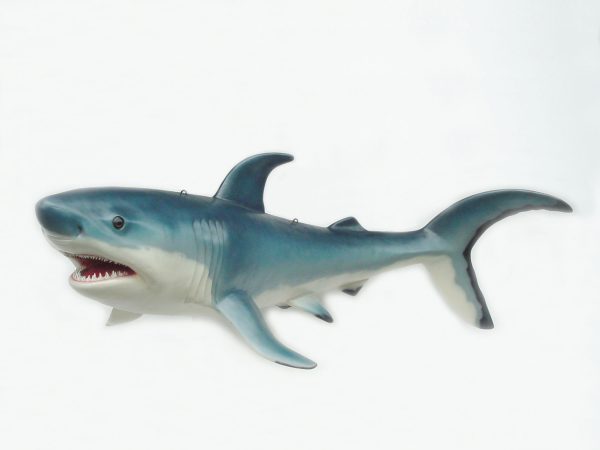 SHARK