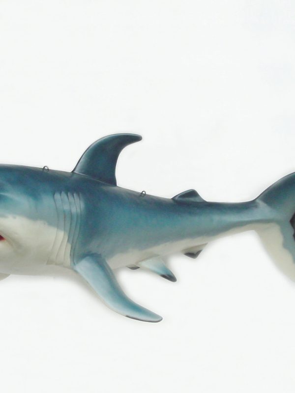 SHARK