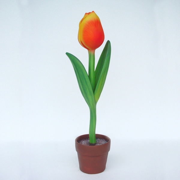 Tulip Whole (Small)