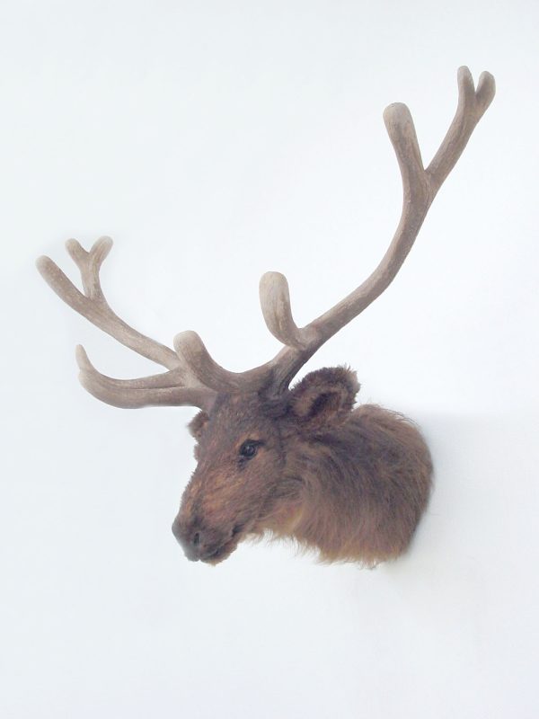 ELK HEAD