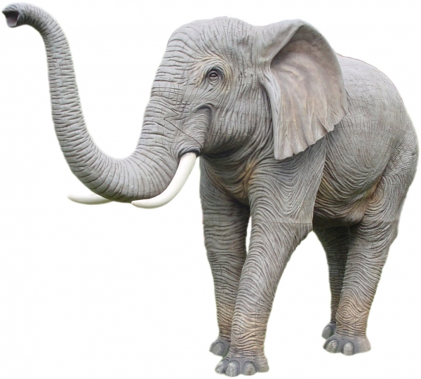 ELEPHANT (BIG) TRUNK UP