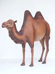 CAMEL
