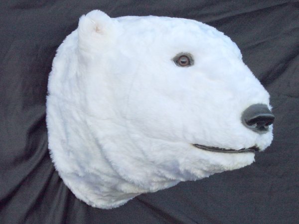 POLAR BEAR HEAD