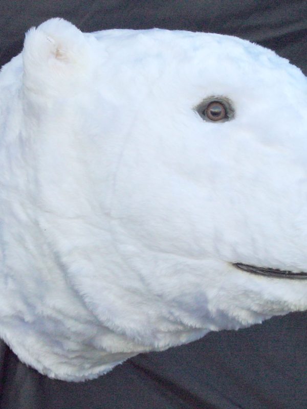POLAR BEAR HEAD