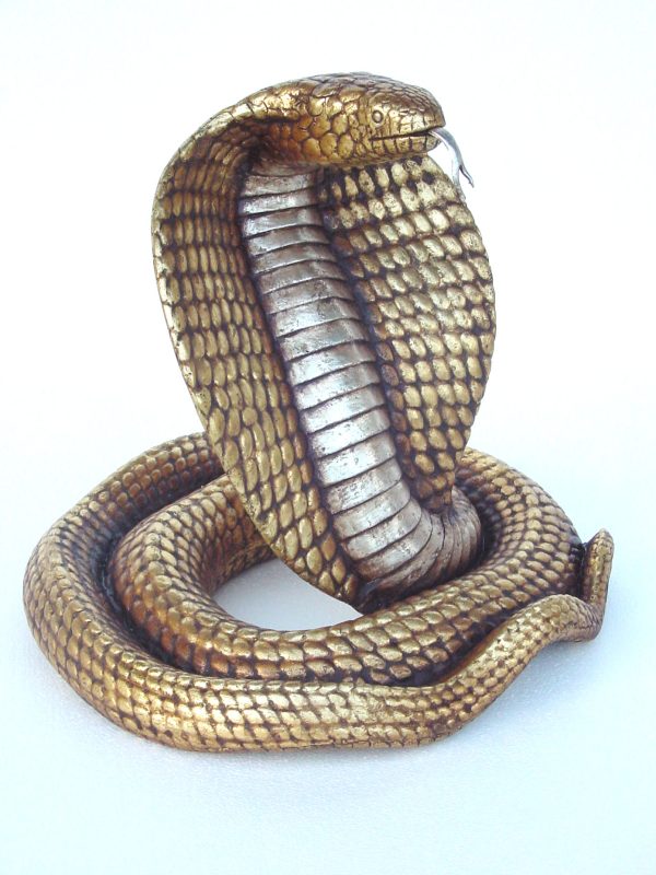 COBRA WITH GOLD