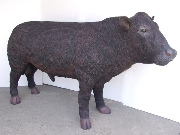 BLACK ANGUS BULL