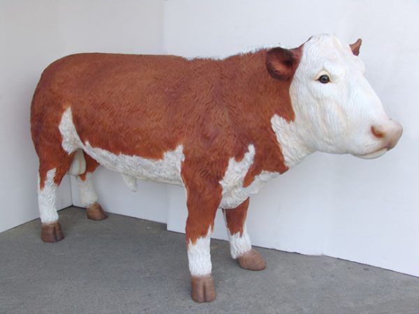 HEREFORD BULL