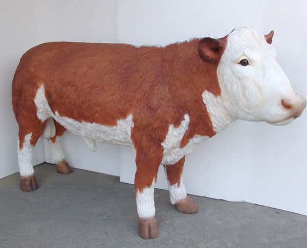 HEREFORD BULL