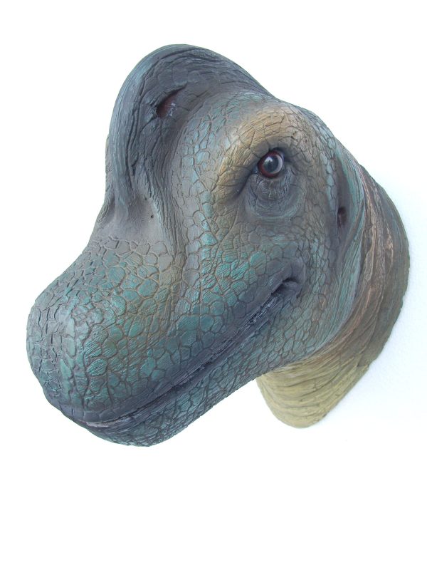 BRACHIOSAURUS HEAD