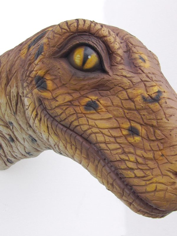 BABY T-REX HEAD