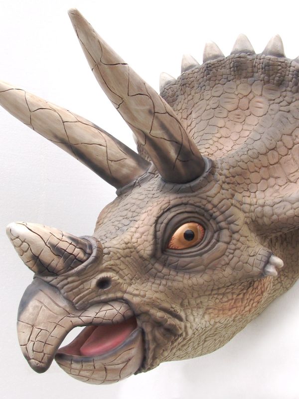 TRICERATOPS HEAD